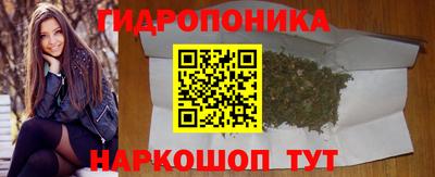 спайс Кинель