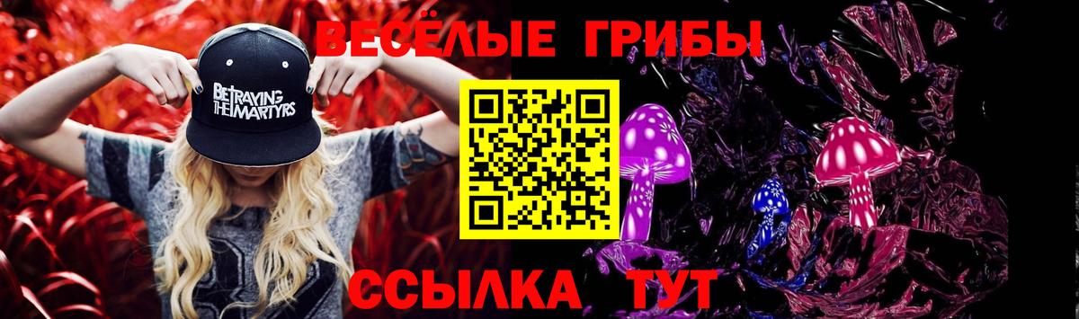 Галлюциногенные грибы Psilocybe Электрогорск